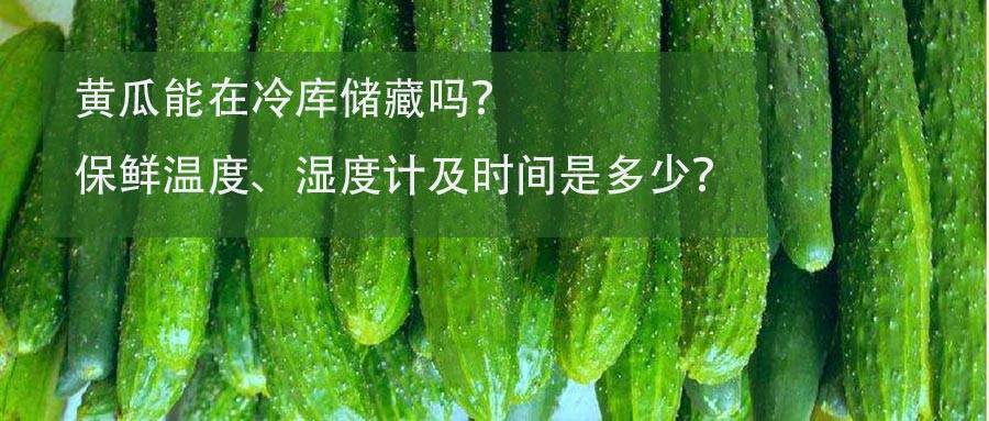 黃瓜保鮮冷庫保鮮溫度、濕度計及時間介紹