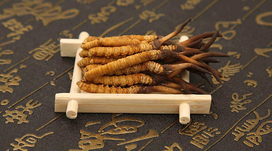 青海冬蟲夏草100平米冷庫(kù)設(shè)計(jì)安裝工程建造方案