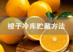 橙子冷庫可以貯藏多久？氣調(diào)庫保鮮5個月！