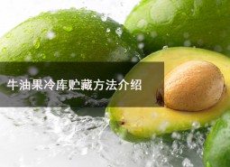 牛油果冷庫貯藏溫度為多少？可以在冷庫貯藏多長時(shí)間？-萬能制冷