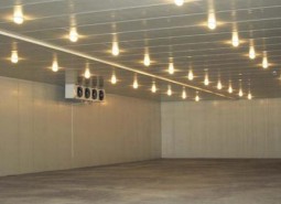 甘肅省蘭州市永登縣水果冷庫安裝工程-萬能制冷